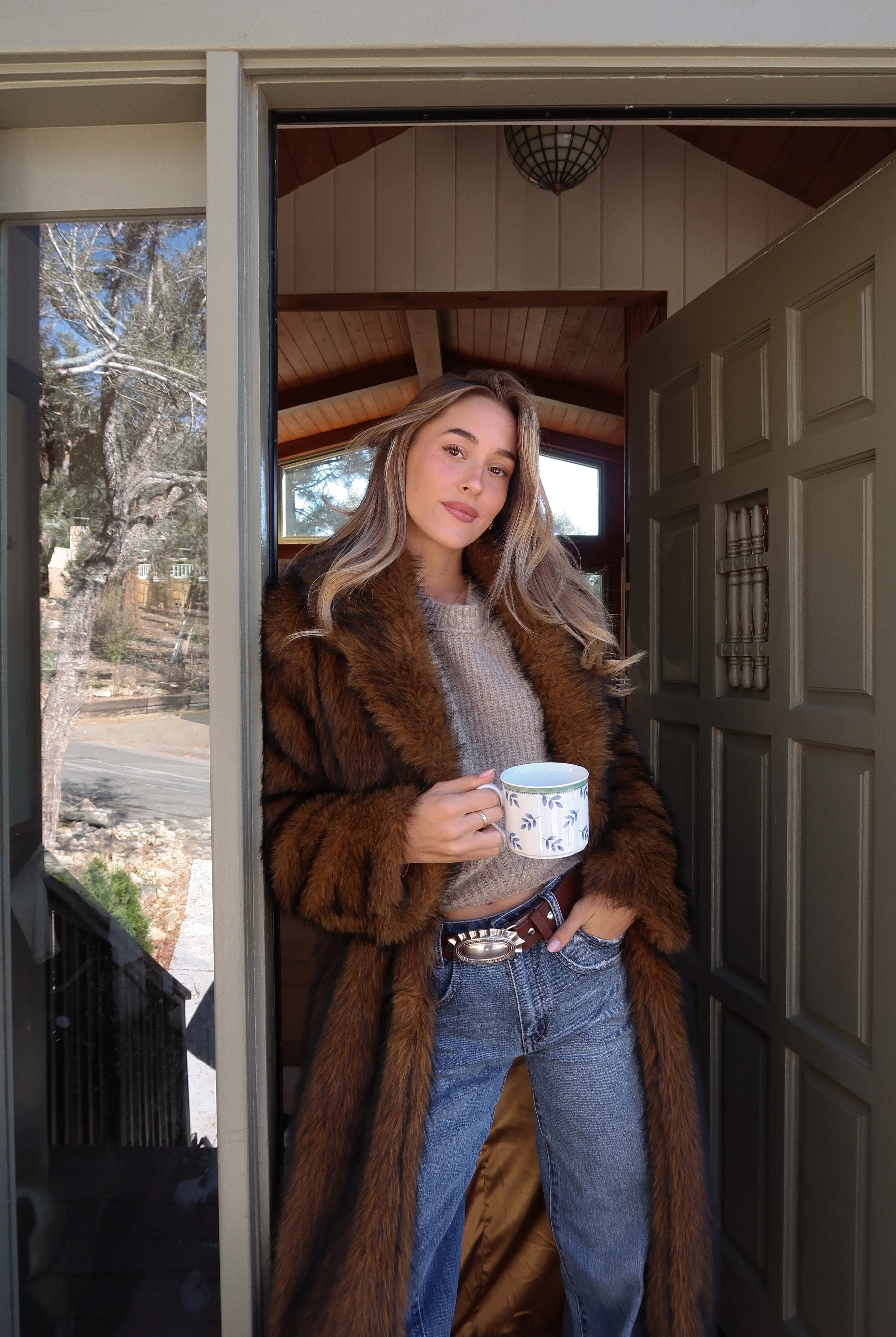 Manhattan Brown Faux Fur Coat 4